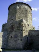 2007 р. Загальний вигляд з пінічного…