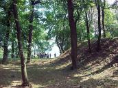 2008 р. Фрагмент