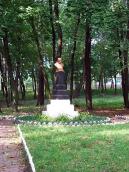 2008 р. Загальний вигляд