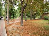 2008 р. В парку