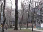 2007 р. Двір будинку