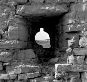 1988 р. Бійниця