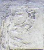 Рельєф сонця