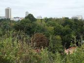 Вид з Замкової гори на схили Пейзажної…