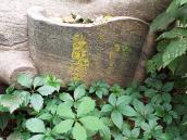 2017 р. Нагробок (2)