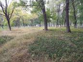 Міщанське кладовище