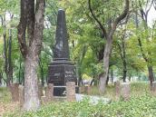 2017 р. Загальний вигляд (1)