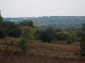 Уманська яма