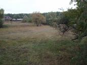 2017 р. Загальний вигляд