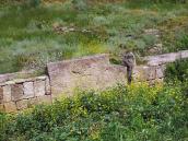 Фрагмент кладки