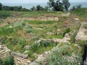 Західна частина розкопу (2)