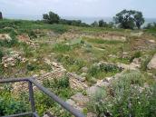 Західна частина розкопу (3)