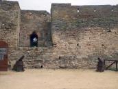 2021 р. Загальний вигляд із заходу