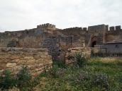 2021 р. Вигляд із заходу на тлі башти…