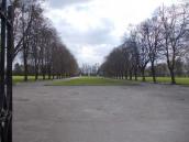 Радянський військовий цвинтар на…