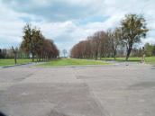 Радянський військовий цвинтар на…