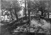 1909 р. Курган на тлі старого цвинтаря
