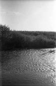 1975 р. Річка Інгул в с.Клинці