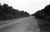 1981 р. Дорога біля Кіровограда