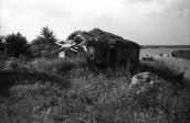 1981 р. Зруйнована хата на березі…