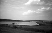 1981 р. Краєвид зі ставком біля…