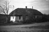 1981 р. Зруйнована хата біля Кіровограда