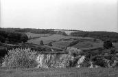 1982 р. Краєвид з ярами біля Ходосівки