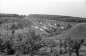 1982 р. Краєвид з ярами біля Ходосівки