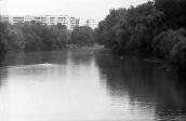 1983 р. Вид на ріку Псел