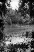 1983 р. Вид на ріку Псел