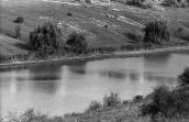 1983 р. Краєвид зі ставком біля…