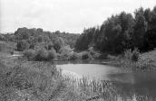 1978 р. Вид на ставок і млин