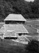 1984 р. Садиба із Стричави на тлі хати…