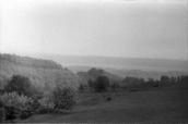 1984 р. Краєвид біля села