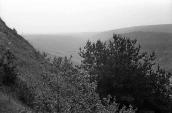 1985 р. Краєвид долини від печери