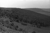 1988 р. Вид Червоної гори з боку плато