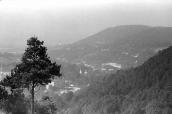 1991 р. Вид з вершини Замкової гори на…