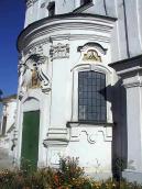 Південна конха