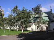 2005 р. Східна частина. Вигляд з півдня