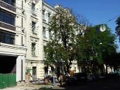 2007 р. Загальний вигляд