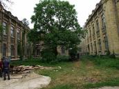 2007 р. Двір між поперечними корпусами…