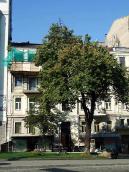 2007 р. Головний фасад