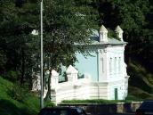 2007 р. Загальний вигляд