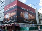 2007 р. Загальний вигляд в процесі…