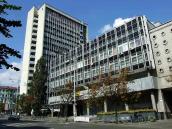 2007 р. Загальний вигляд