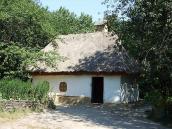 2007 р. Загальний вигляд