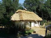 2007 р. Загальний вигляд