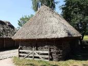 2007 р. Загальний вигляд