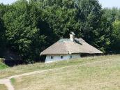 2007 р. Загальний вигляд (комора, хата)