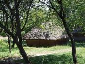 2007 р. Загальний вигляд з тильного…